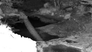 Still 1 from this detection