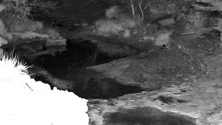 Still 1 from this detection