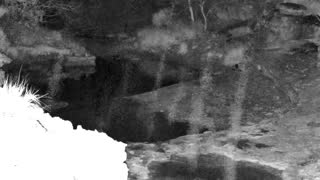 Still 1 from this detection