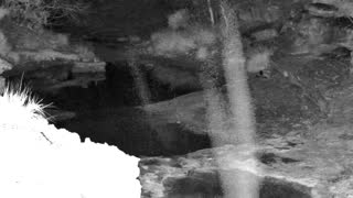 Still 1 from this detection