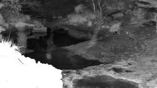Still 1 from this detection