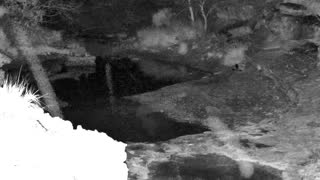 Still 1 from this detection