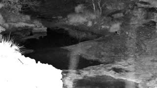 Still 1 from this detection