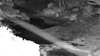 Still 1 from this detection