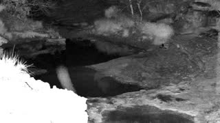 Still 1 from this detection