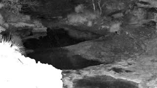 Still 1 from this detection