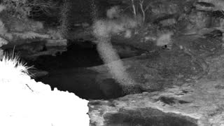 Still 1 from this detection