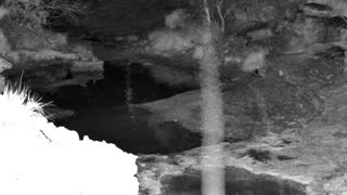 Still 1 from this detection