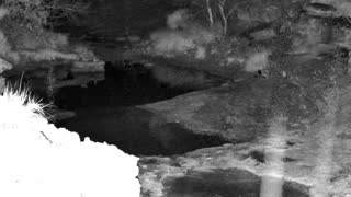 Still 1 from this detection