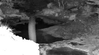 Still 1 from this detection