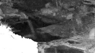 Still 1 from this detection
