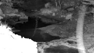Still 1 from this detection