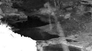 Still 1 from this detection