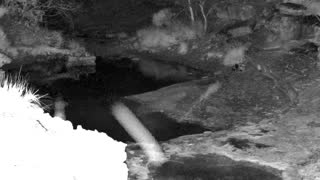 Still 1 from this detection