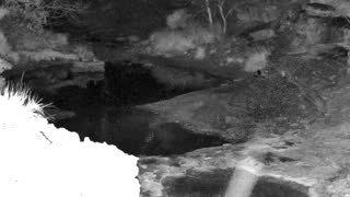 Still 1 from this detection