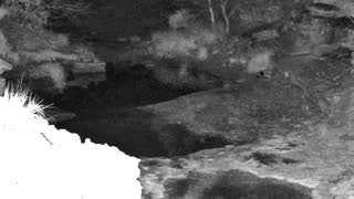 Still 1 from this detection