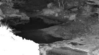 Still 1 from this detection