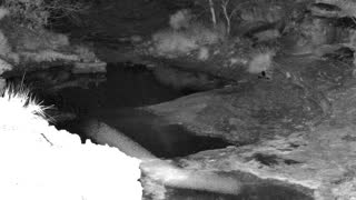 Still 1 from this detection