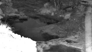 Still 1 from this detection