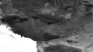 Still 1 from this detection