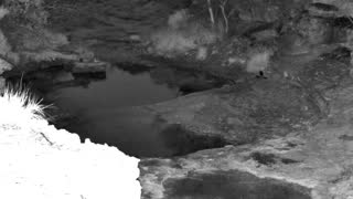 Still 1 from this detection