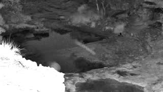 Still 1 from this detection