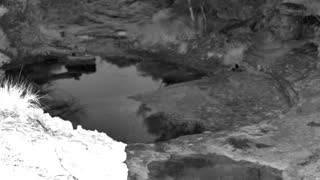 Still 1 from this detection