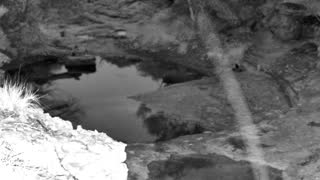 Still 1 from this detection