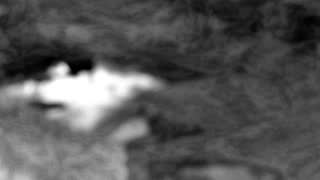 Still 1 from this detection