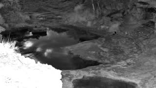 Still 1 from this detection