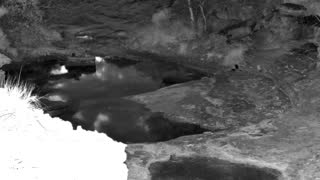 Still 1 from this detection