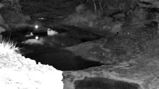 Still 1 from this detection