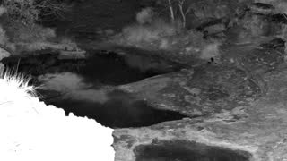 Still 1 from this detection