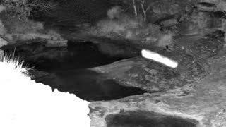 Still 1 from this detection