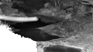 Still 1 from this detection
