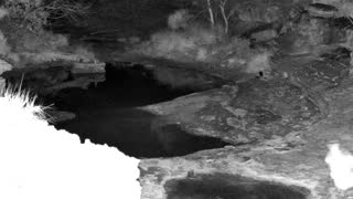 Still 1 from this detection