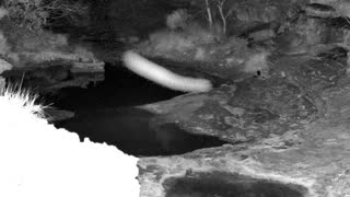 Still 1 from this detection