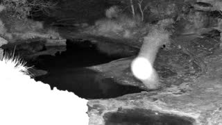 Still 1 from this detection