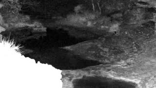 Still 1 from this detection