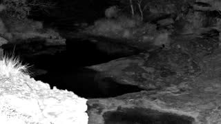 Still 1 from this detection