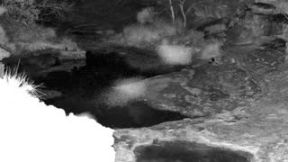 Still 1 from this detection