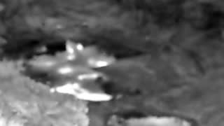 Still 1 from this detection