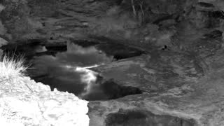 Still 1 from this detection