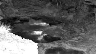 Still 1 from this detection