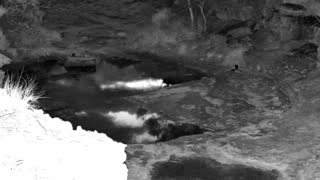 Still 1 from this detection