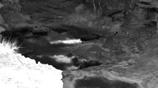 Still 1 from this detection