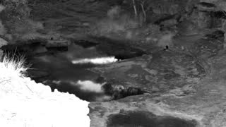 Still 1 from this detection