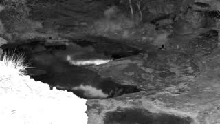 Still 1 from this detection