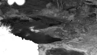Still 1 from this detection