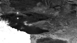 Still 1 from this detection